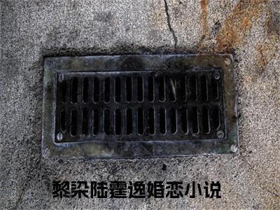 精选小说（黎染陆霆逸）全本阅读-黎染陆霆逸免费阅读-笔趣阁（黎染陆霆逸）