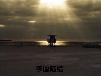 岑厘陆缙小说免费阅读完整版全文大结局