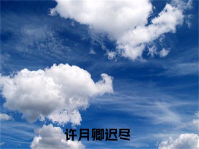 深沉心动小说主角是（许月卿迟尽）全文完整版免费阅读最新章节列表_许月卿迟尽小说在线阅读