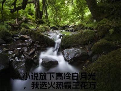 放下高冷白月光，我选火热霸王花方州新出一本好看的小说-放下高冷白月光，我选火热霸王花方州小说免费阅读完整版_笔趣阁（放下高冷白月光，我选火热霸王花方州）