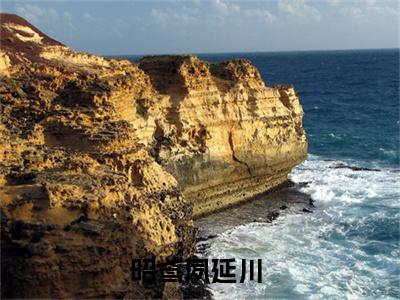 昭鸢夙延川小说免费(昭鸢夙延川)全文免费阅读无弹窗-昭鸢夙延川最新章节列表_笔趣阁