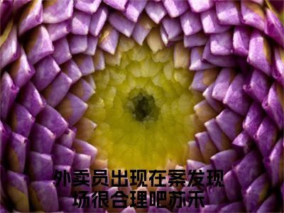 甜爆款小说外卖员出现在案发现场很合理吧苏禾-外卖员出现在案发现场很合理吧苏禾免费在线阅读