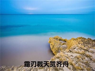 霜刃裁天贺齐舟(霜刃裁天贺齐舟)全文免费阅读无弹窗大结局_霜刃裁天贺齐舟免费阅读全文无弹窗_笔趣阁