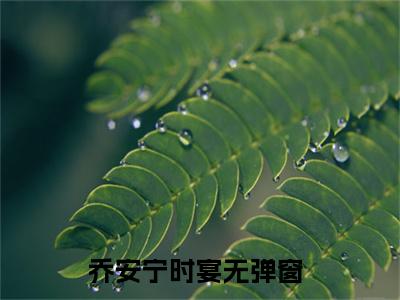 乔安宁时宴（乔安宁时宴）全文免费阅读无弹窗大结局_乔安宁时宴小说全文免费阅读最新章节列表_笔趣阁（乔安宁时宴）