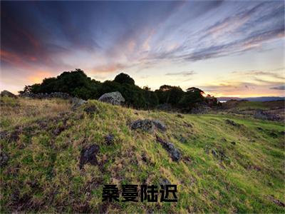 桑蔓陆迟小说免费阅读-（桑蔓陆迟）言情小说桑蔓陆迟讲的是什么