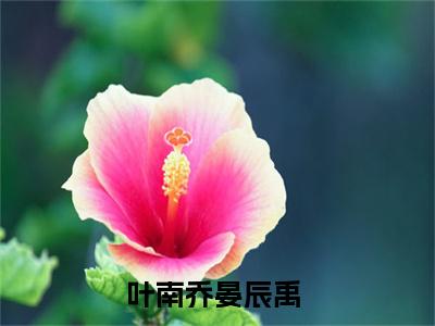 叶南乔晏辰禹后续+全集（叶南乔晏辰禹）全文免费阅读无弹窗大结局_叶南乔晏辰禹后续+全集免费阅读_笔趣阁（叶南乔晏辰禹后续+全集）