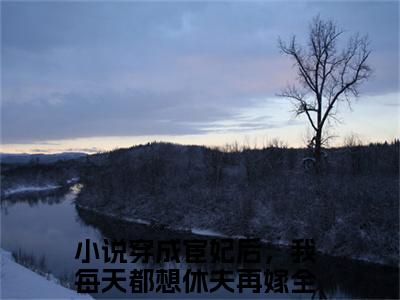 穿成宦妃后，我每天都想休夫再嫁小说（秦若时宗政朝暮）全文免费阅读-穿成宦妃后，我每天都想休夫再嫁精彩章节在线阅读