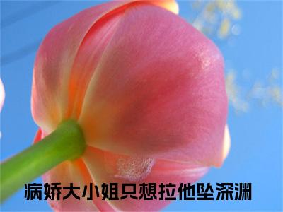 沈初萤陆泽（病娇大小姐只想拉他坠深渊）小说全文免费阅读无弹窗大结局_（病娇大小姐只想拉他坠深渊）沈初萤陆泽最新章节列表