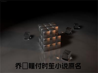 乔苪瞳付时笙全集章节小说免费阅读完整版（乔苪瞳付时笙）-乔苪瞳付时笙小说免费阅读