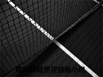 林昀铮陆然全文免费阅读无弹窗-林昀铮陆然小说全文在线阅读笔趣阁