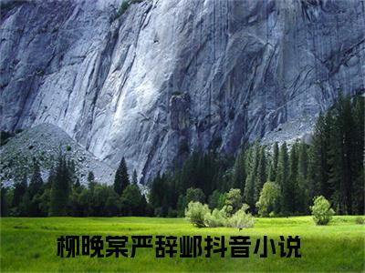 柳晚棠严辞邺（柳晚棠严辞邺）全文免费阅读无弹窗大结局_柳晚棠严辞邺小说在线阅读全文