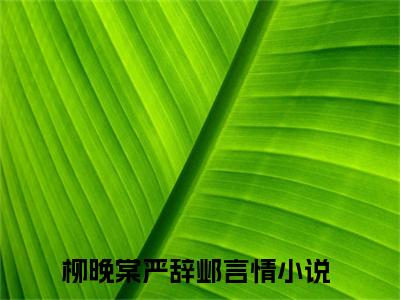 主角叫柳晚棠严辞邺的小说在哪阅读柳晚棠严辞邺是主角的小说