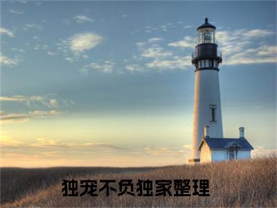 独宠不负小说全文-楚宛权谦小说免费阅读大结局