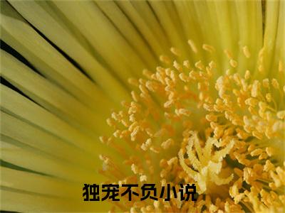 楚宛权谦（独宠不负）全文免费阅读_楚宛权谦全文阅读_笔趣阁（独宠不负）
