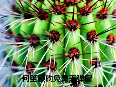 何笙顾昀（何笙顾昀）小说在线阅读_何笙顾昀全本免费小说阅读（何笙顾昀）