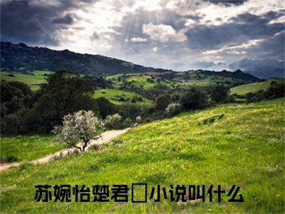 苏婉怡楚君珃（苏婉怡楚君珃）全文免费阅读-小说苏婉怡楚君珃最新章节阅读笔趣阁
