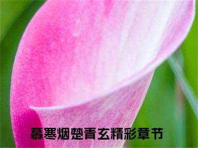 慕寒烟楚青玄（慕寒烟楚青玄）最新热门小说-慕寒烟楚青玄免费阅读