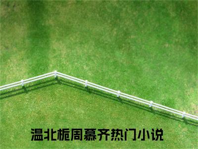 温北栀周慕齐(温北栀周慕齐)全文阅读无弹窗大结局_温北栀周慕齐免费阅读无弹窗最新章节列表