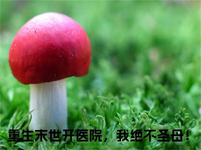 （姜温怡陆久安）重生末世开医院，我绝不圣母！小说小说全文免费重生末世开医院，我绝不圣母！读最新章节列表笔趣阁（姜温怡陆久安）