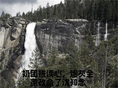 奶团被读心，炮灰全家改命了沈知念(奶团被读心，炮灰全家改命了沈知念)全文免费最新章节阅读_(奶团被读心，炮灰全家改命了沈知念)全章节免费在线阅读_笔趣阁（奶团被读心，炮灰全家改命了沈知念）
