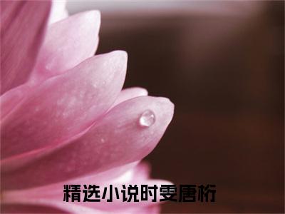 时雯唐桁（时雯唐桁）全文免费阅读无弹窗大结局_（时雯唐桁阅读无弹窗）时雯唐桁最新章节列表_笔趣阁（时雯唐桁）