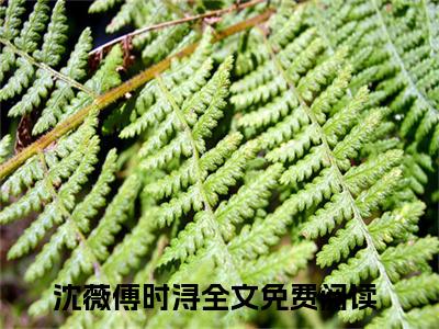 沈薇傅时浔全网首发小说-沈薇傅时浔无广告免费试读