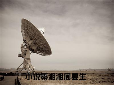 《秦湘湘周晏生完整小说》秦湘湘周晏生完结版全章节阅读