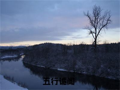 五行诡闻在线阅读（柳元柳老道小说）全文免费阅读无弹窗大结局_柳元柳老道免费最新章节列表