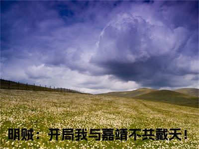 明贼：开局我与嘉靖不共戴天！精彩小说赏析全文杨寒苍热门小说免费阅读