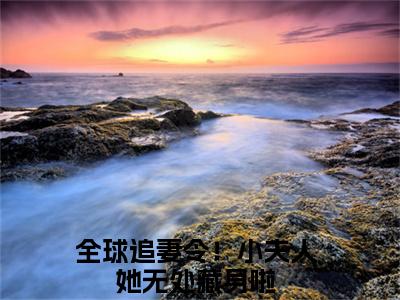 全球追妻令！小夫人她无处藏身啦满分热推小说-云栀意厉阈野全球追妻令！小夫人她无处藏身啦小说全本已完结