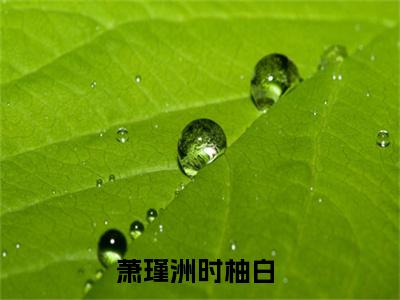萧瑾洲时柚白无广告小说全文免费阅读无弹窗大结局-萧瑾洲时柚白在线阅读