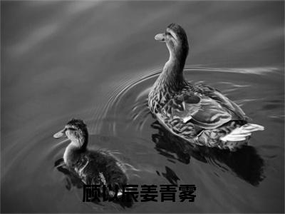 主人公叫顾以辰姜青雾的小说哪里免费看顾以辰姜青雾