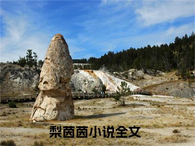 梨茵茵小说（绝对侵占）全章节完整版免费小说_梨茵茵最新章节在线阅读_笔趣阁