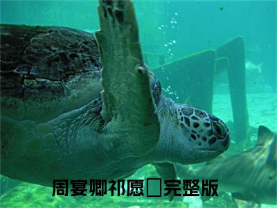 周宴卿祁愿洝免费阅读无弹窗，小说掌上裙摆大结局全文免费阅读