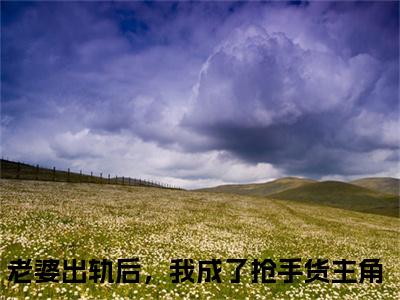 小说（陈雨婷王宇）老婆出轨后，我成了抢手货全文免费阅读无弹窗-老婆出轨后，我成了抢手货小说全文在线赏析（今日更新最新章节）