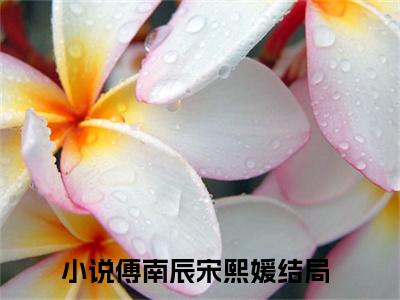 傅南辰宋熙媛言情推荐小说阅读-小说《傅南辰宋熙媛》傅南辰宋熙媛免费阅读