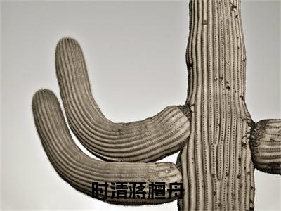 时清蒋檀舟小说全文阅读-时清蒋檀舟小说全文完整版免费阅读