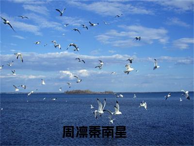 周凛秦南星（这是我欠他的，永远还不清）全文免费阅读_周凛秦南星全文阅读_笔趣阁（这是我欠他的，永远还不清）