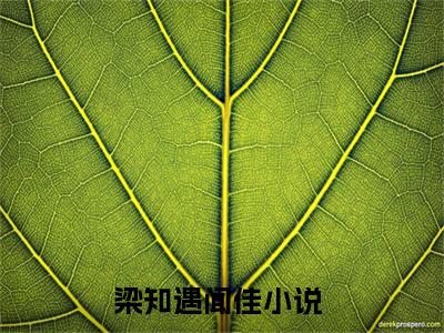 梁知遇闻佳(梁知遇闻佳)全文免费阅读无弹窗大结局_梁知遇闻佳章节列表
