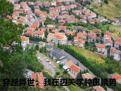 梁勇小说最新试读_穿越异世：我在边关学种田是（梁勇免费阅读最新章节列表）_笔趣阁（穿越异世：我在边关学种田）