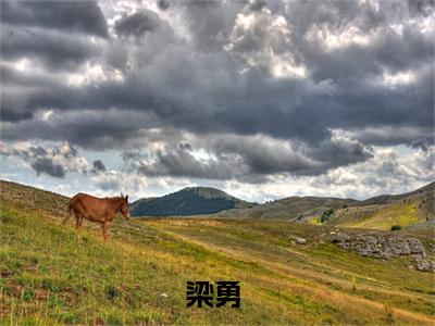 梁勇是哪部小说的主角，穿越异世：我在边关学种田全文在线赏析