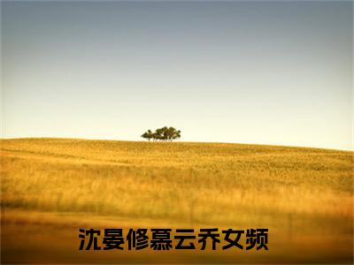 沈晏修慕云乔全文免费阅读无弹窗大结局-(沈晏修慕云乔)什么小说-沈晏修慕云乔热门小说更新