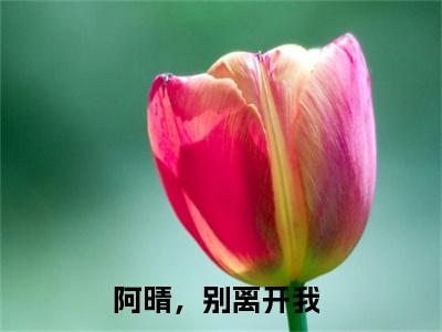 程念晴季寒泓（主角是阿晴，别离开我全文免费阅读无弹窗）_程念晴季寒泓全文免费阅读无弹窗大结局