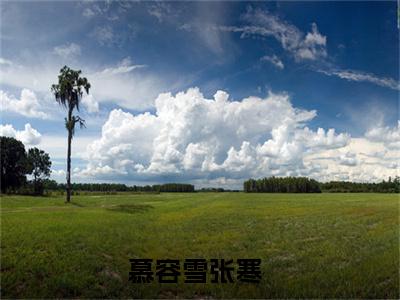 废物皇子，开局娶了第一女将小说最新章节（慕容雪张寒）全文免费阅读无弹窗大结局_慕容雪张寒免费阅读（废物皇子，开局娶了第一女将小说）