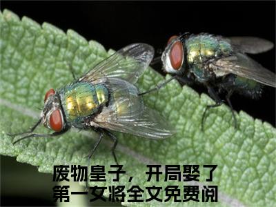慕容雪张寒（废物皇子，开局娶了第一女将）全文免费阅读无弹窗大结局_慕容雪张寒最新章节列表笔趣阁