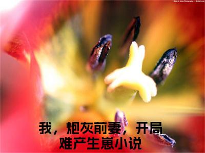 我，炮灰前妻，开局难产生崽（顾凛慕宁）全文免费阅读无弹窗大结局_我，炮灰前妻，开局难产生崽最新章节列表（顾凛慕宁）