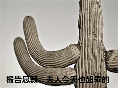 姜茶（报告总裁：夫人今天也超乖的）全文免费阅读无弹窗大结局_姜茶最新章节列表-笔趣阁报告总裁：夫人今天也超乖的