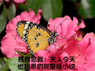 姜茶小说报告总裁：夫人今天也超乖的全章节阅读-主角为姜茶的小说叫什么报告总裁：夫人今天也超乖的