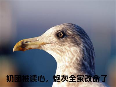 沈知念（奶团被读心，炮灰全家改命了）全文免费阅读最新章节大结局_沈知念最新章节列表_笔趣阁