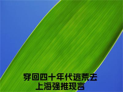 王丽（穿回四十年代逃荒去上海）小说精彩免费内容_王丽最新章节全文阅读（穿回四十年代逃荒去上海）